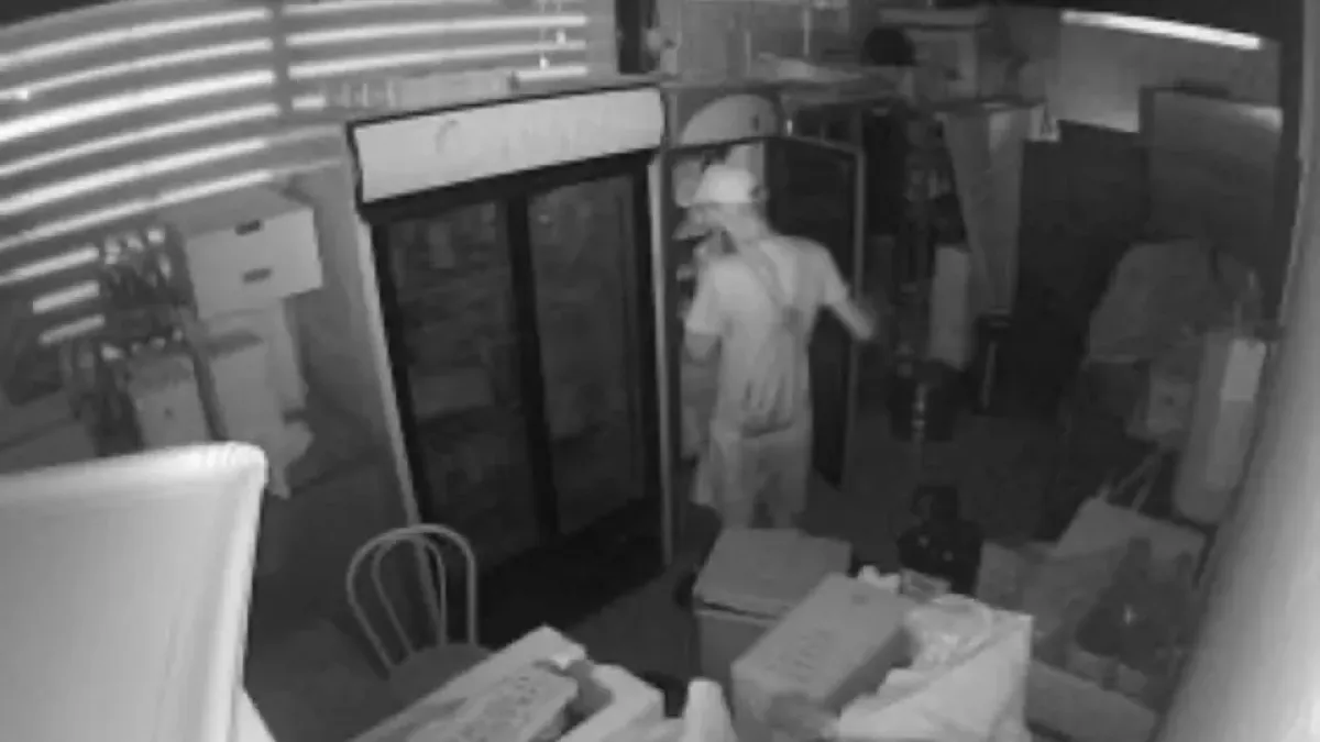 Notte di furti e raid vandalici sul lungomare: presi di mira i chioschi tra Bellariva e Marebello - Il ladro ripreso dalle telecamere interne