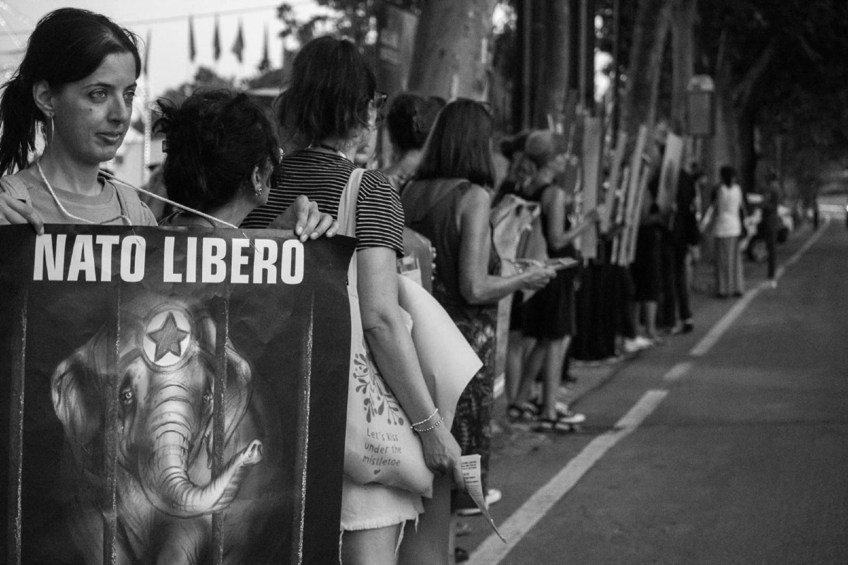 Circo Rolando Orfei, la replica degli animalisti: “Animali incompatibili con la vita circense” - 