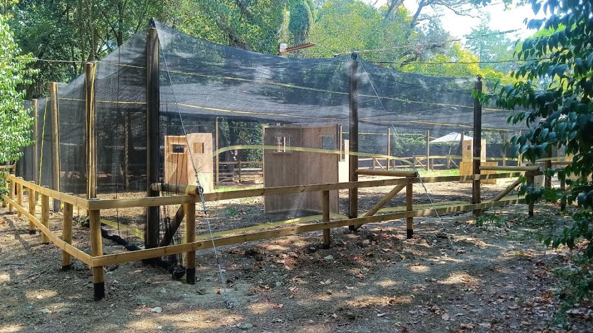 Riccione, paintball all’Arboreto Cicchetti: le associazioni insorgono - L'area paintball all'Arboreto Cicchetti