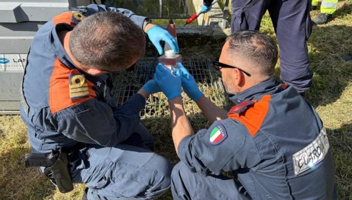 Scarichi e gestione dei rifiuti: 21 aziende controllate nel Riminese, 2 su 3 non a norma - Controlli ambientali della Capitaneria di Porto