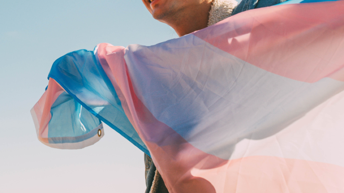 Corso sulla gravidanza delle persone trans, Arcigay Rimini contro Futuro Nazionale: "Ostacolano la formazione" - 