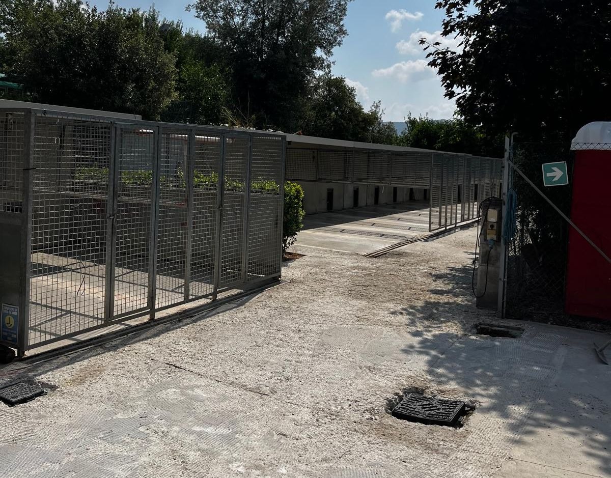 Caldo record al canile di Fagnano, l’allarme dei volontari: «Cani in sofferenza» - 