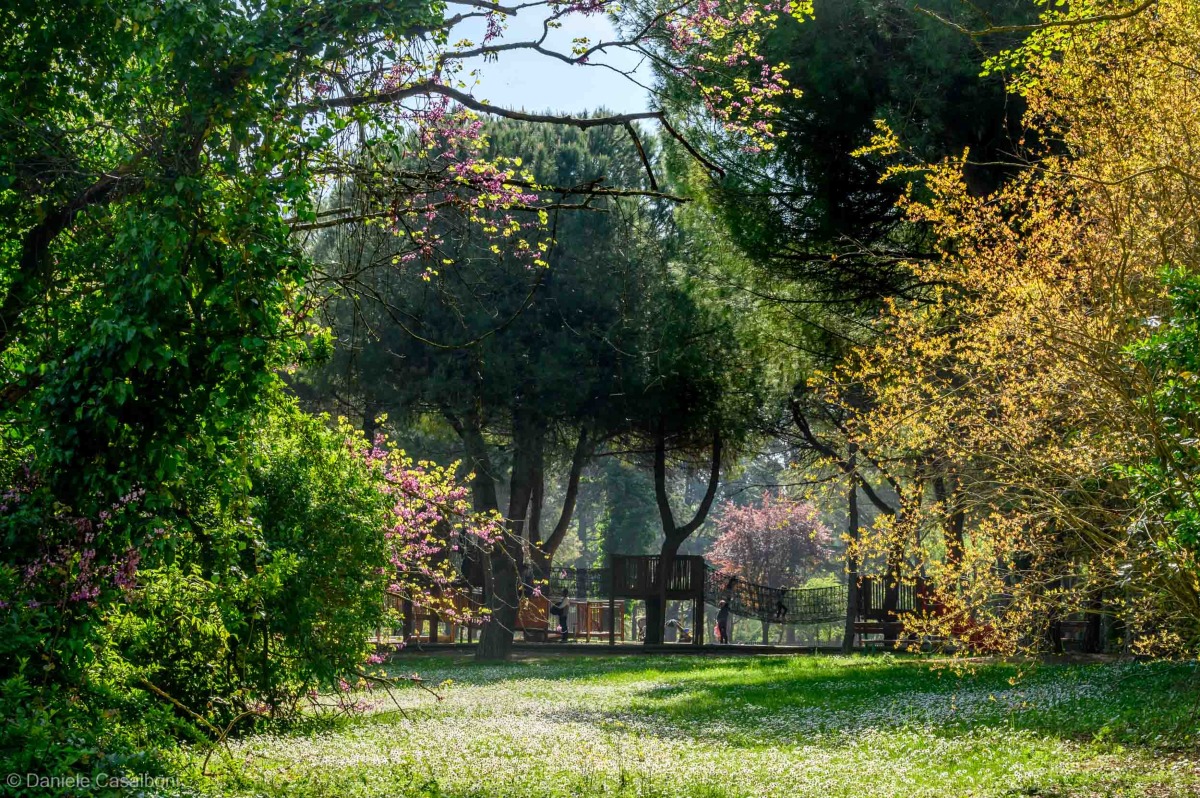 Avvistato un lupo, Comune di Riccione chiude tre parchi - Parco della Resistenza di Riccione