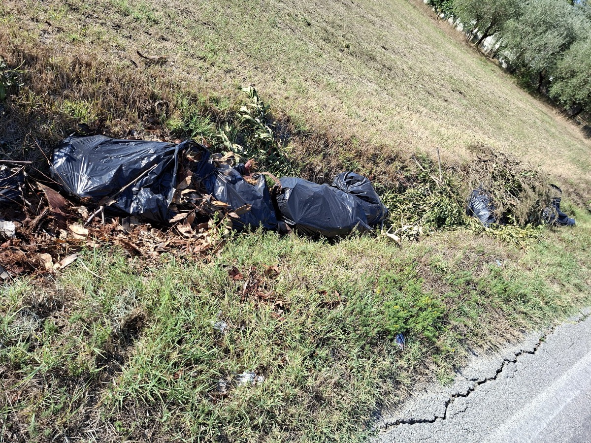 Rifiuti abbandonati lungo i fossi: «Siamo la discarica degli incivili». La segnalazione - 