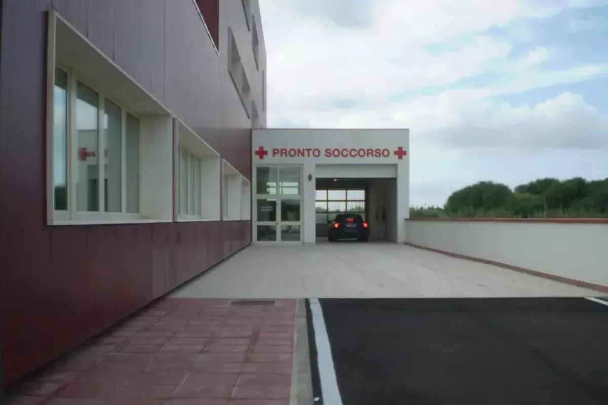 Febbre del Nilo: focolaio in provincia di Oristano, 19 contagiati - PH ANSA