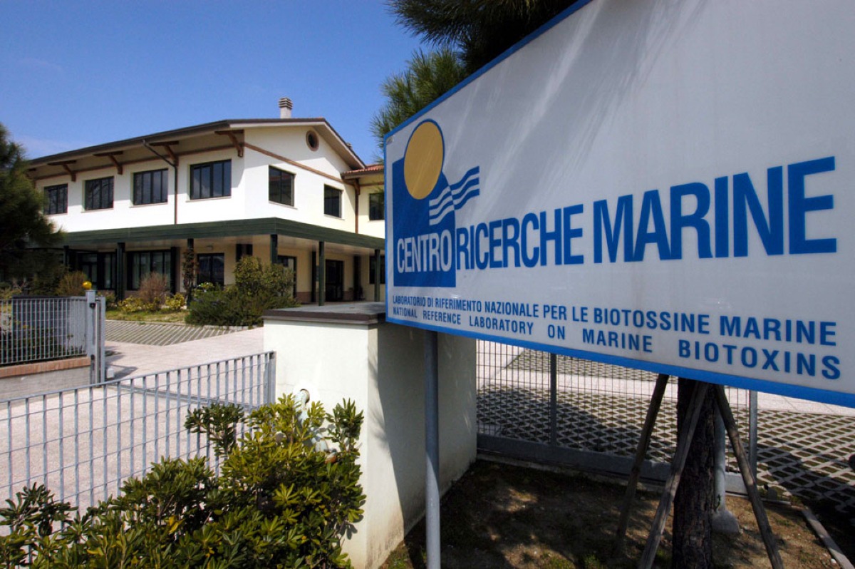 "Fondamentale capire cosa succede nel nostro mare": dal 1983 Rimini sostiene il Centro Ricerche Marine - 