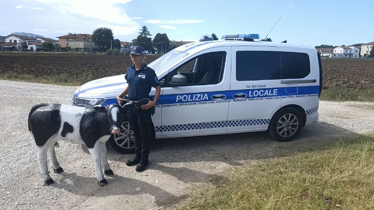 Tuttozoo ritrova la sua "mascotte": il vitellino di cartapesta rintracciato a San Martino dei Mulini - Il vitellino di cartapesta di Tuttozoo ritrovato