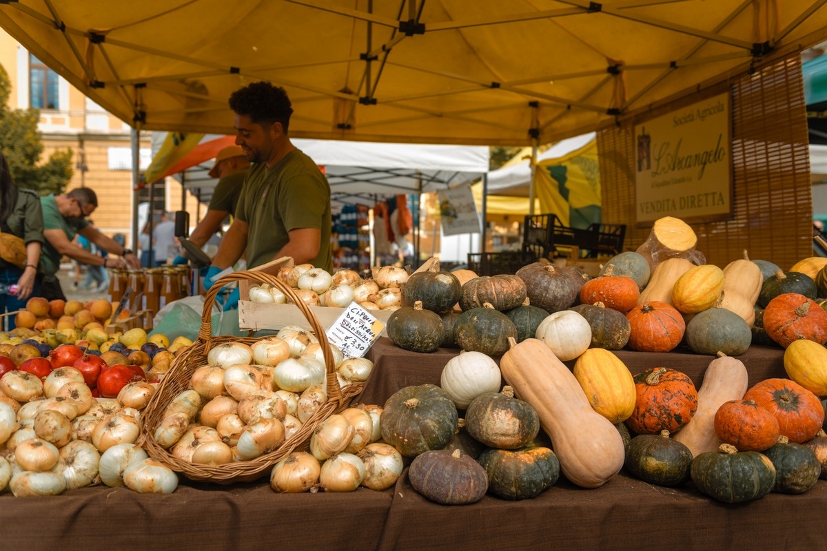 Santarcangelo si prepara alla Fiera di San Michele, tra tradizione, ambiente e gastronomia - 