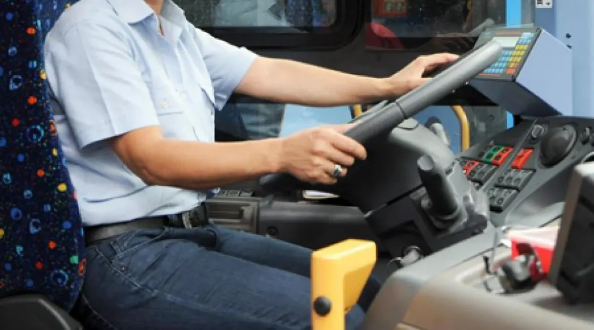 Rimini, via libera al trasporto scolastico per gli studenti delle zone di confine e al Piedibus - Autista, trasporto scolastico, autobus REPERTORIO