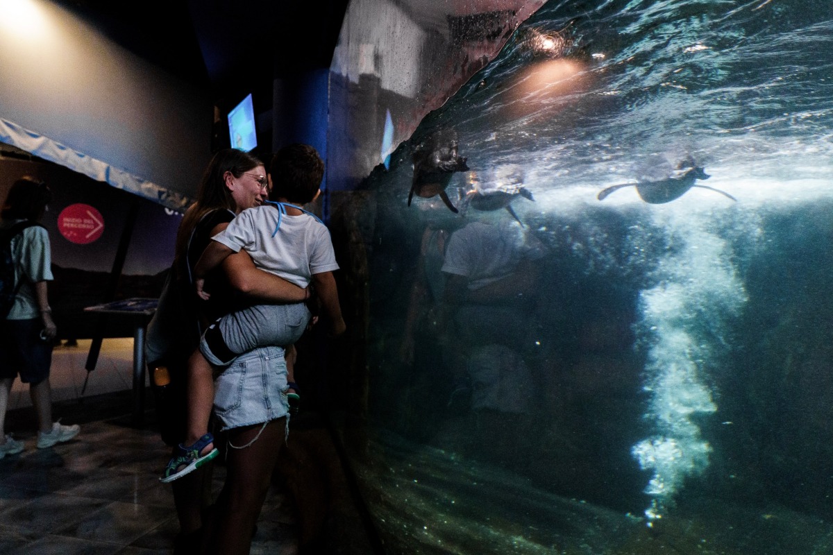 Acquario di Cattolica, martedì 1 settembre l’ultima apertura serale - 
