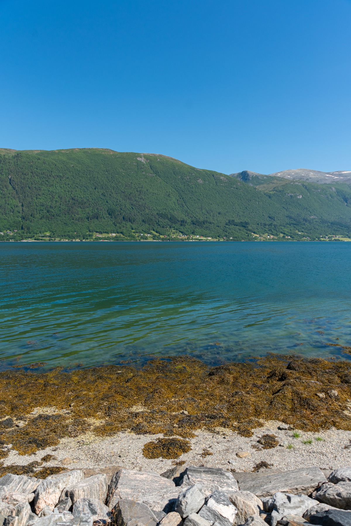 Si tuffa nel lago e non riemerge: muore ragazza di 23 anni - Repertorio