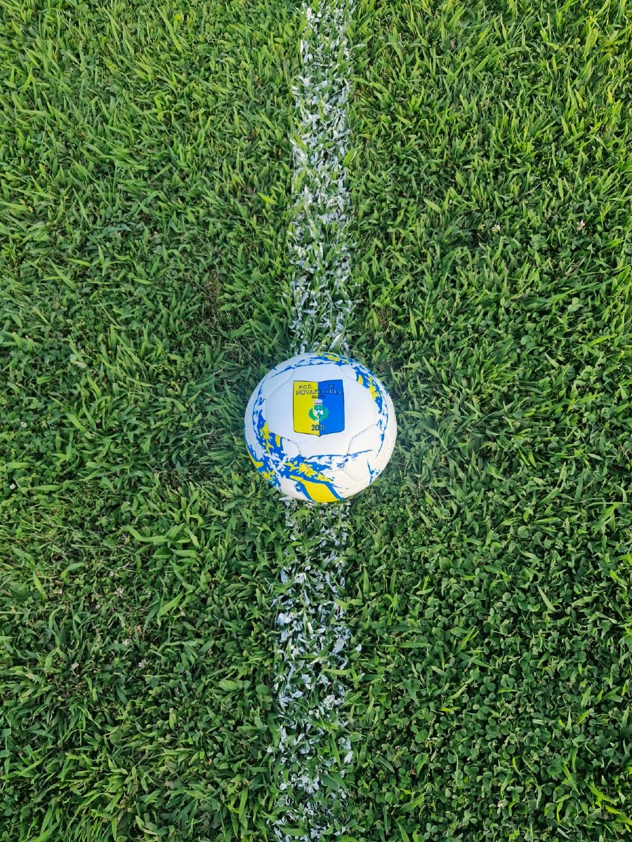 Galleria del 05/08/2026 13:41