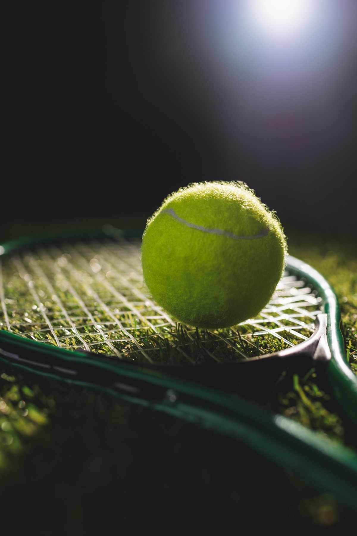 US Open, Berrettini si ferma al secondo turno - 