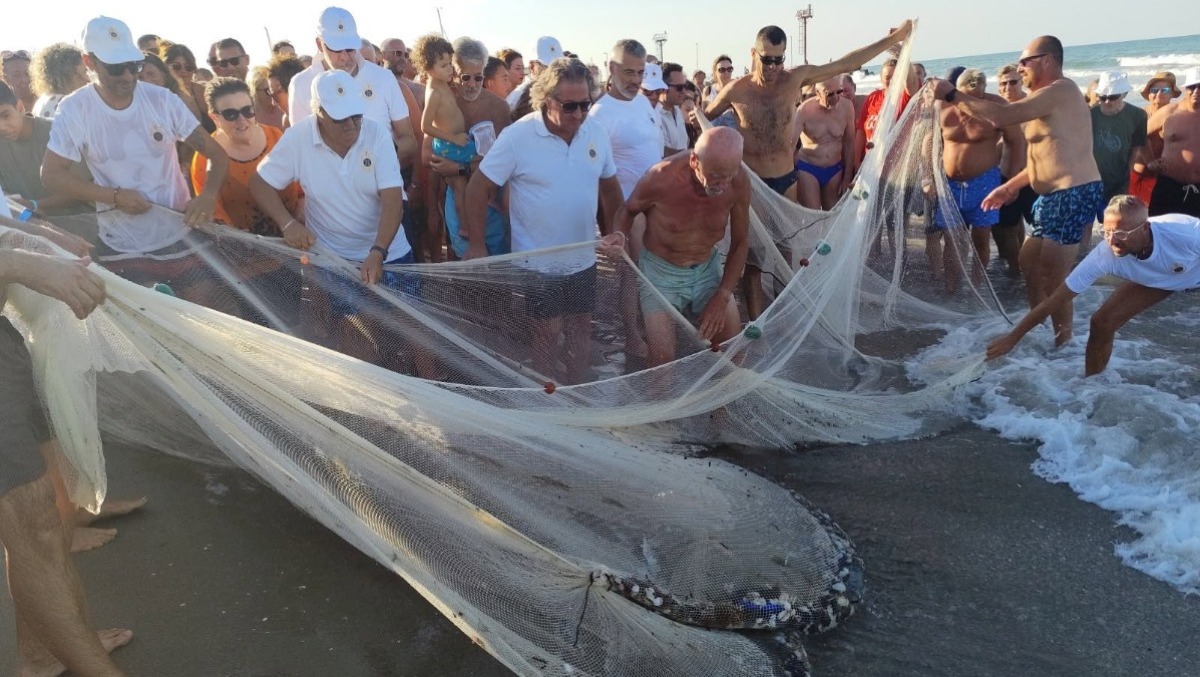 Riccione, la pesca alla tratta torna in spiaggia - La rievocazione della pesca alla tratta