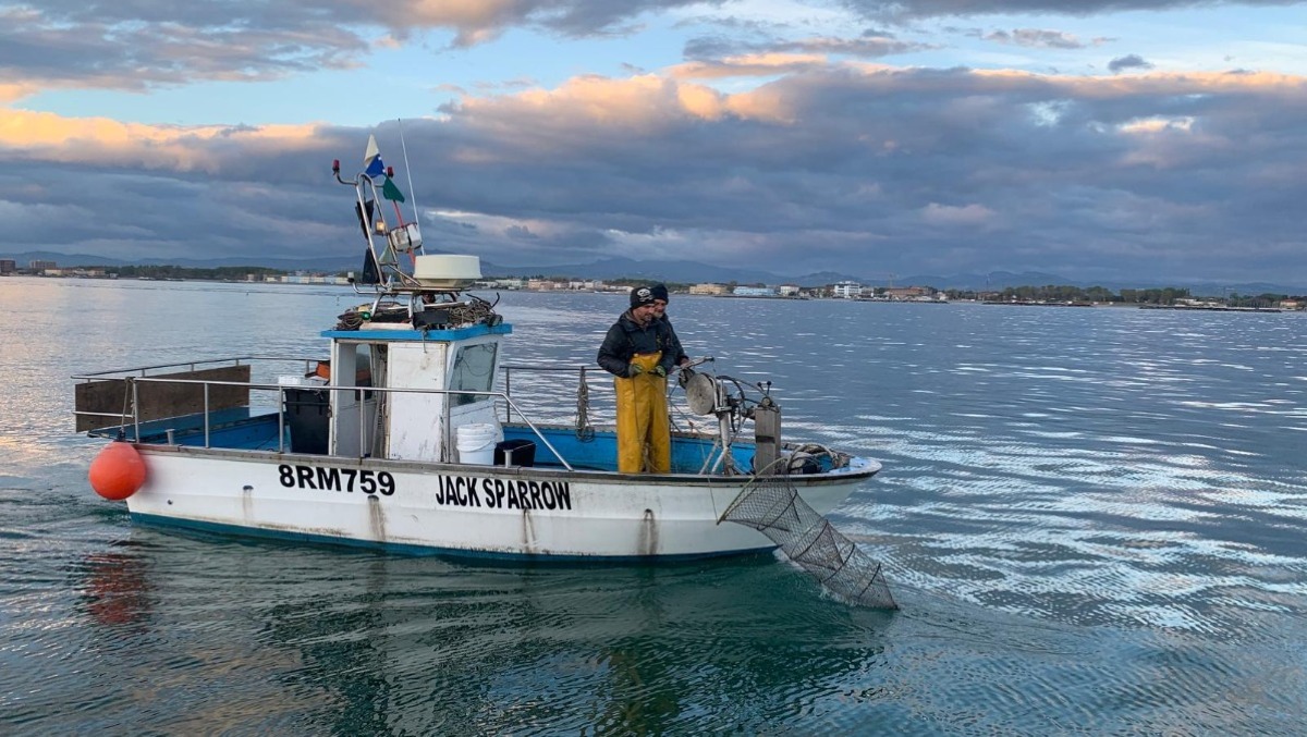 La piccola pesca fa squadra: nasce a Rimini la rete regionale dei pescatori - Pescatore, pesca ARCHIVIO