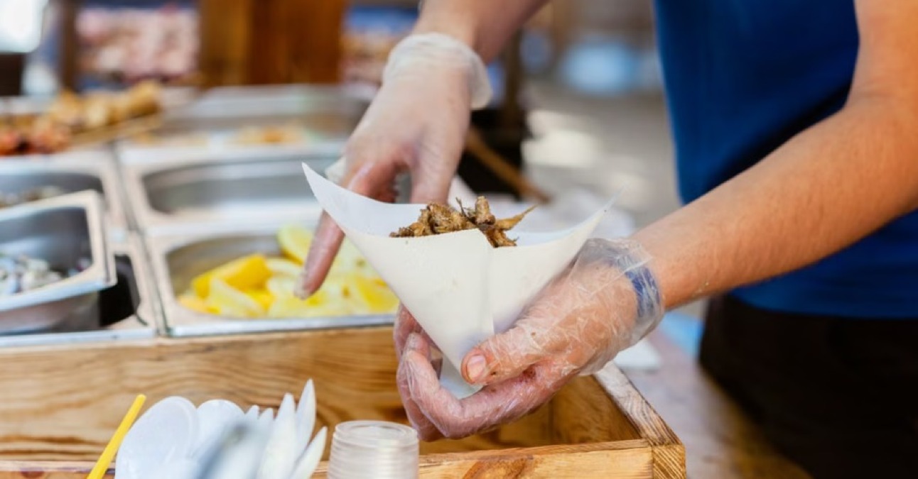 Street food, in dieci anni le imprese quasi raddoppiano nel Riminese - 