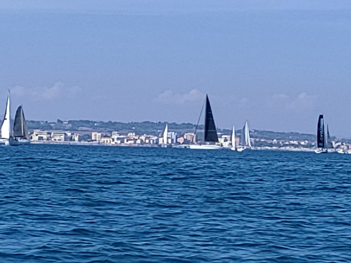 Cattolica, vela e solidarietà: la regata Lions raccoglie fondi per le cure palliative - 