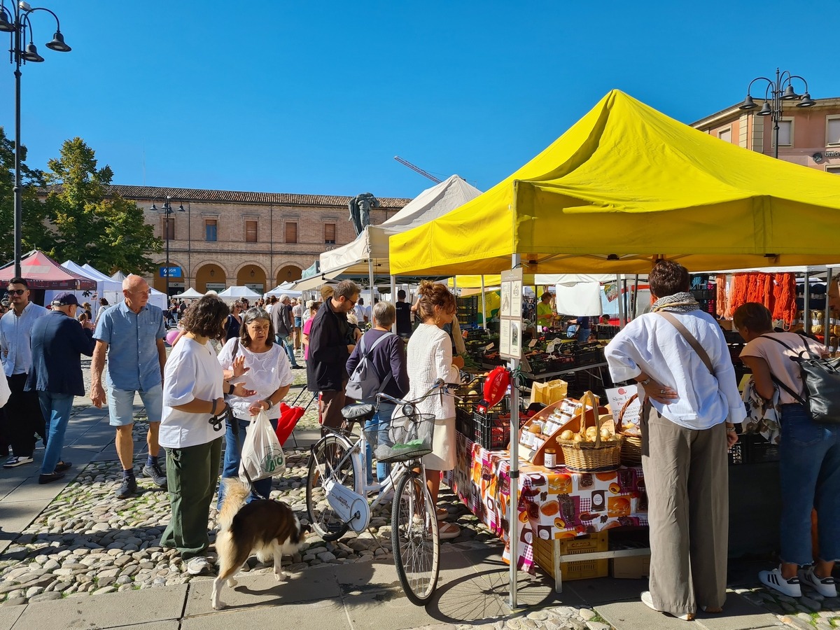 Fiera di San Michele: Santarcangelo torna al Medioevo tra animali, natura e tradizioni - 