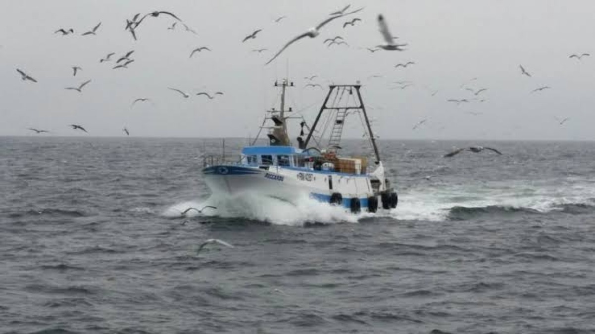 Pesca, “Gasolio a 1,3 euro al litro”: 14 cooperative e i sindaci della Riviera chiedono aiuto a Lollobrigida - 