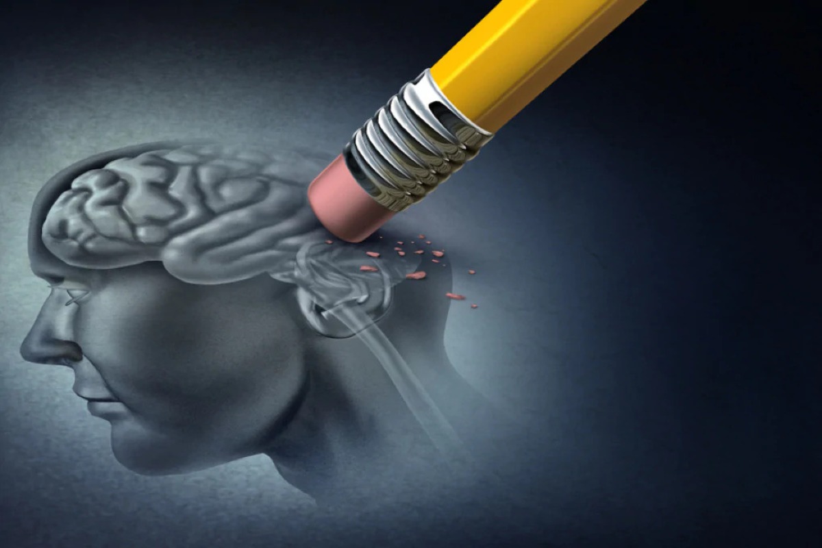 Giornata Mondiale dell’Alzheimer: a Rimini un incontro gratuito tra prevenzione e Memory Training - 