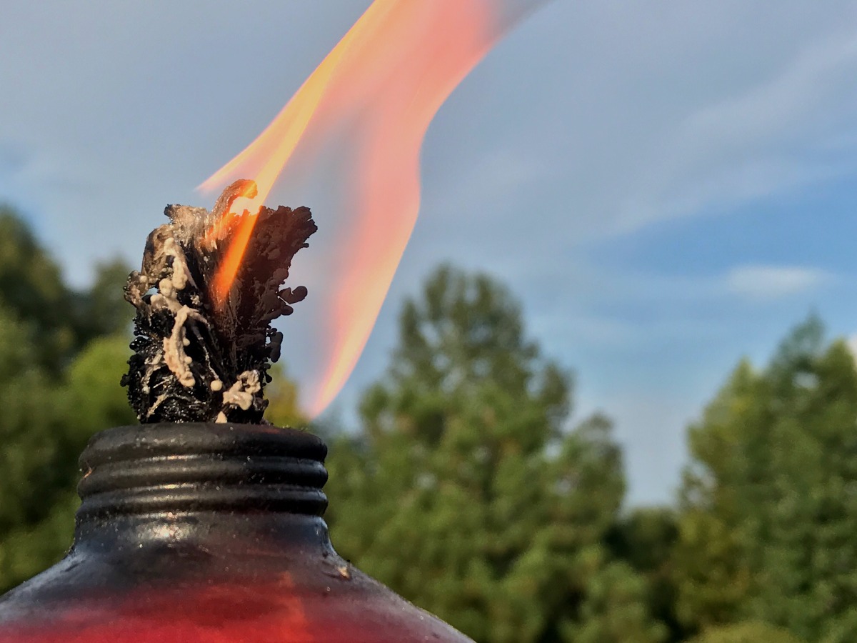 Molotov preparate da quattro giovanissimi, perquisizioni anche nel Riminese - 