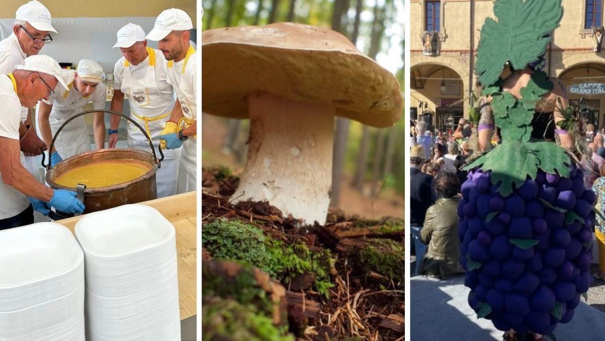 Dal vino alla polenta, le tradizioni del territorio ma non solo: gli eventi di Rimini e Provincia - 