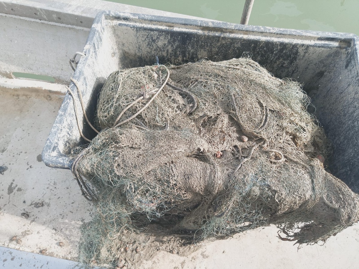 Costi insostenibili e reti vuote: è allarme rosso per la piccola pesca - 