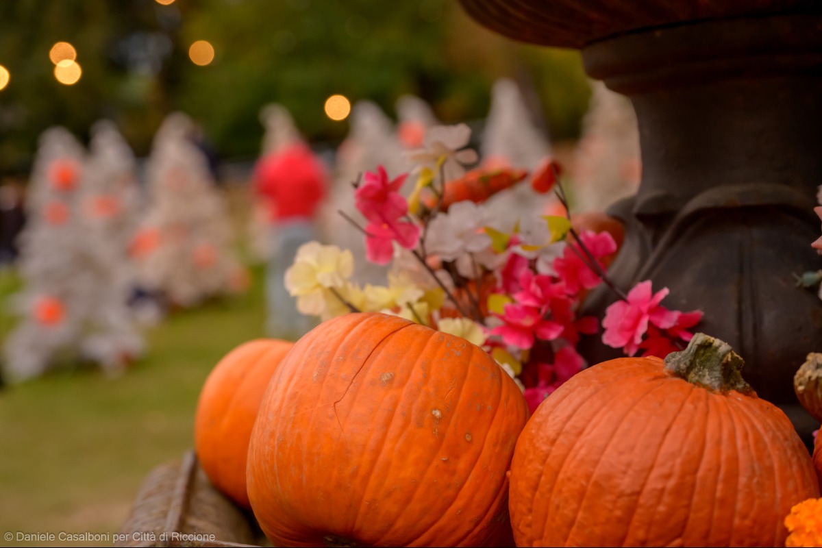 A Riccione le atmosfere di Halloween e dell'autunno ne "Il Parco delle zucche" - 