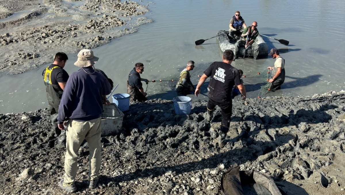Lago Azzurro di Santarcangelo "svuotato", salvati i pesci in agonia: erano in una pozza di fango - 