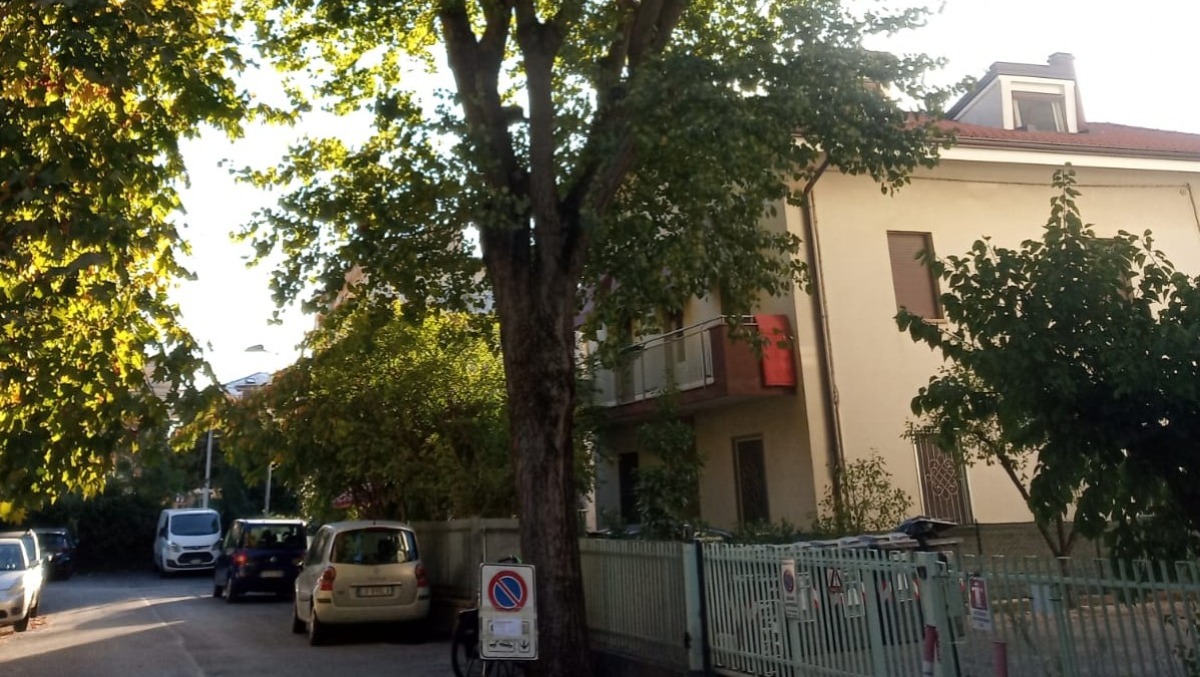 Tre pioppi abbattuti in viale Adria, la Lipu: “Da quasi due anni attendiamo la ripiantumazione” - 