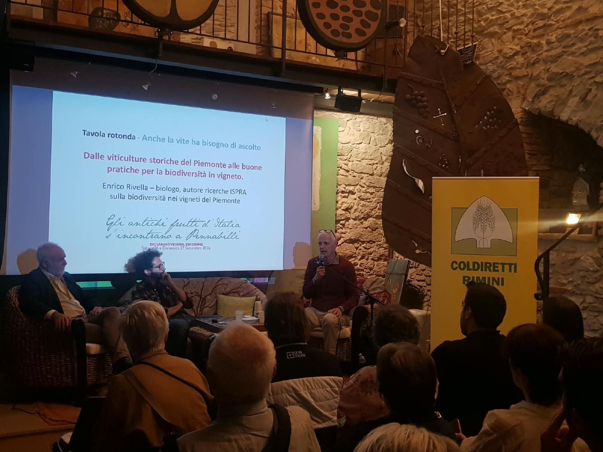 Pennabilli, successo per la XIX edizione degli Antichi Frutti d’Italia. Il plauso di Coldiretti - 