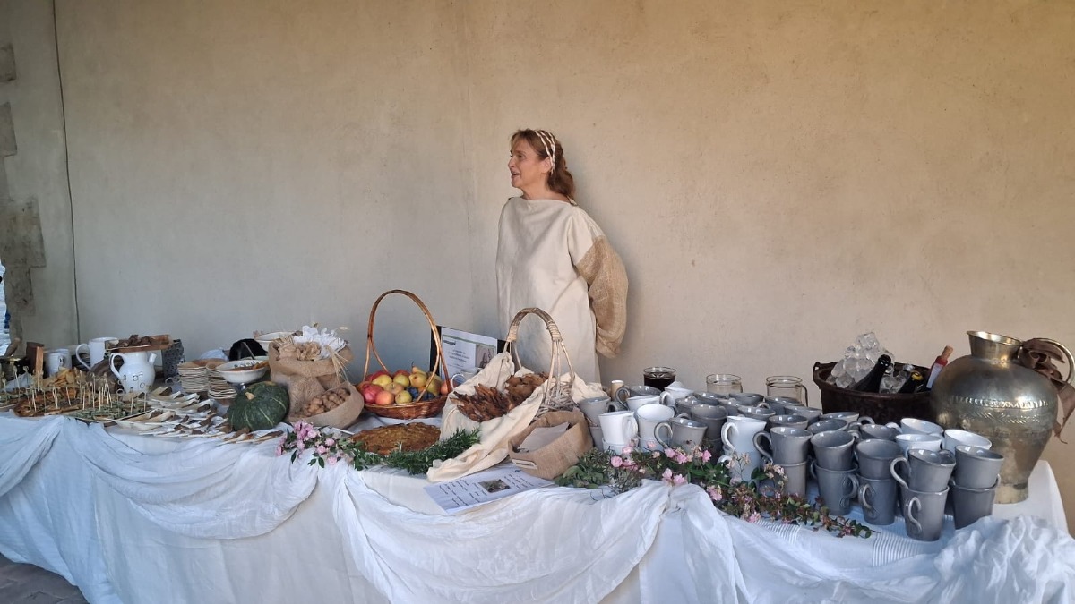 san francis