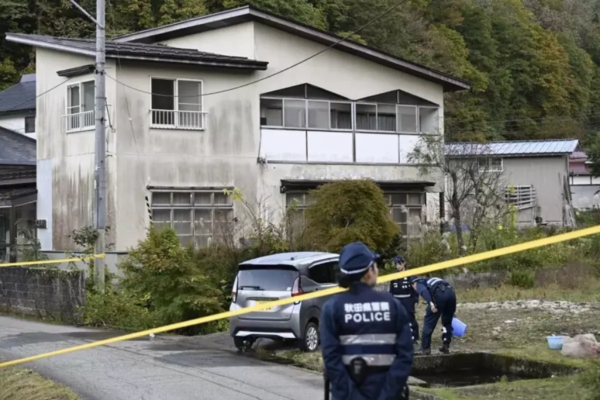 Giappone, ottobre da allarme orsi, crescono gli attacchi agli uomini - © Ansa