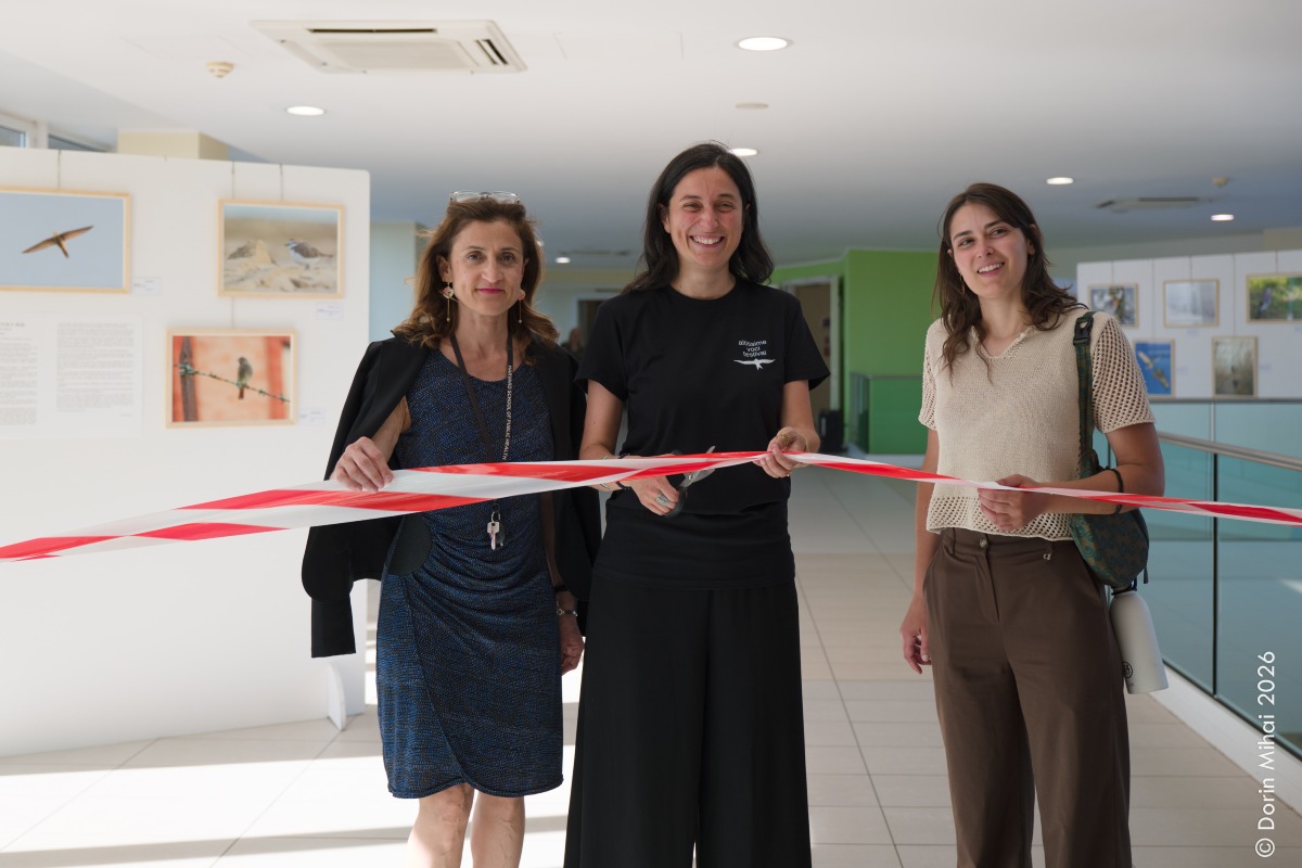 Rimini, danneggiata la mostra fotografica sulla natura all’ospedale Infermi - Ph Dorin Mihai