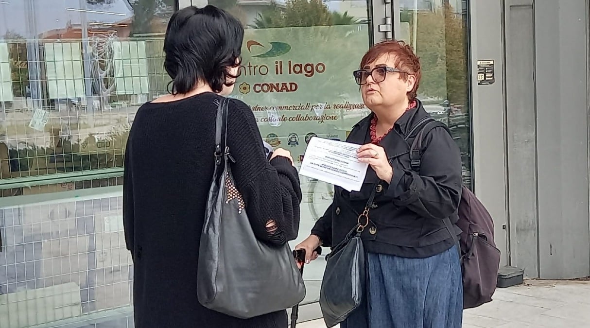 "Boicottiamo Conad": il taglio di alberi per nuovo supermercato nel Reggiano scatena proteste a Rimini - 