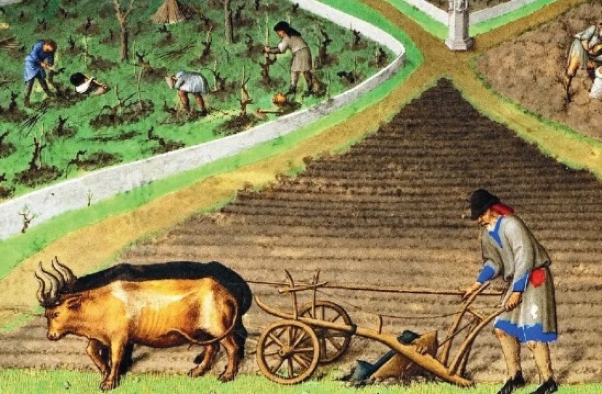 Sangiovese, le origini tra storia e tradizione: il nuovo libro di Oreste Delucca - 