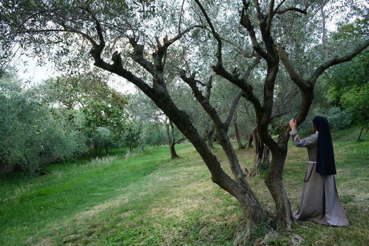 Un tesoro nascosto di Santarcangelo: due passeggiate per scoprirlo - 