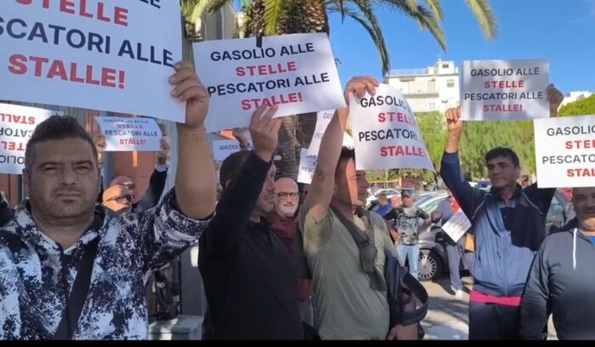 Via libera del Cdm agli aiuti: 540 milioni per il settore. Meloni: "Non tollereremo intimidazioni" - © Ansa