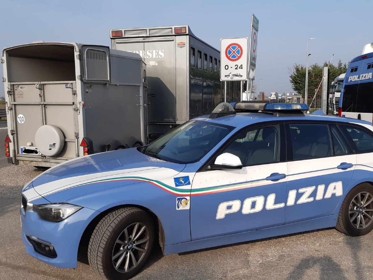 Controlli a tappeto sulle strade di Rimini: 37 multe e 4 patenti ritirate - 