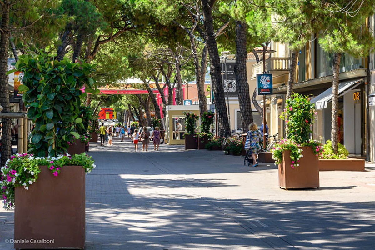 Video social su Viale Ceccarini fa ancora discutere, Futuro Nazionale: "Crisi? Non solo per il cantiere" - Viale Ceccarini Riccione PH CASALBONI