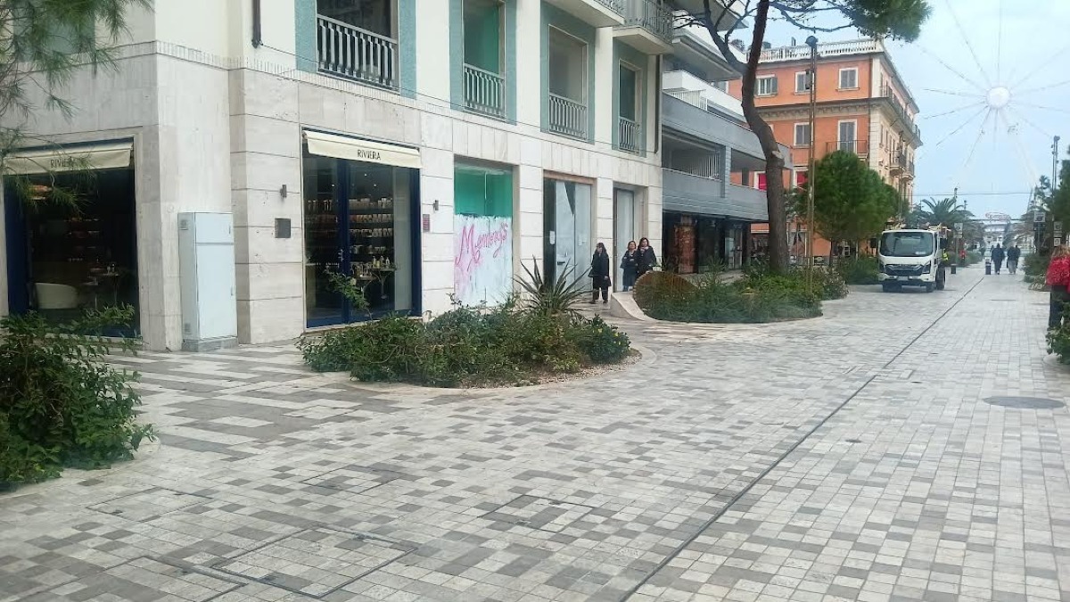 Viale Ceccarini, amministrazione nella bufera non solo per i negozi sfitti: "Stop al taglio dei pini" - 