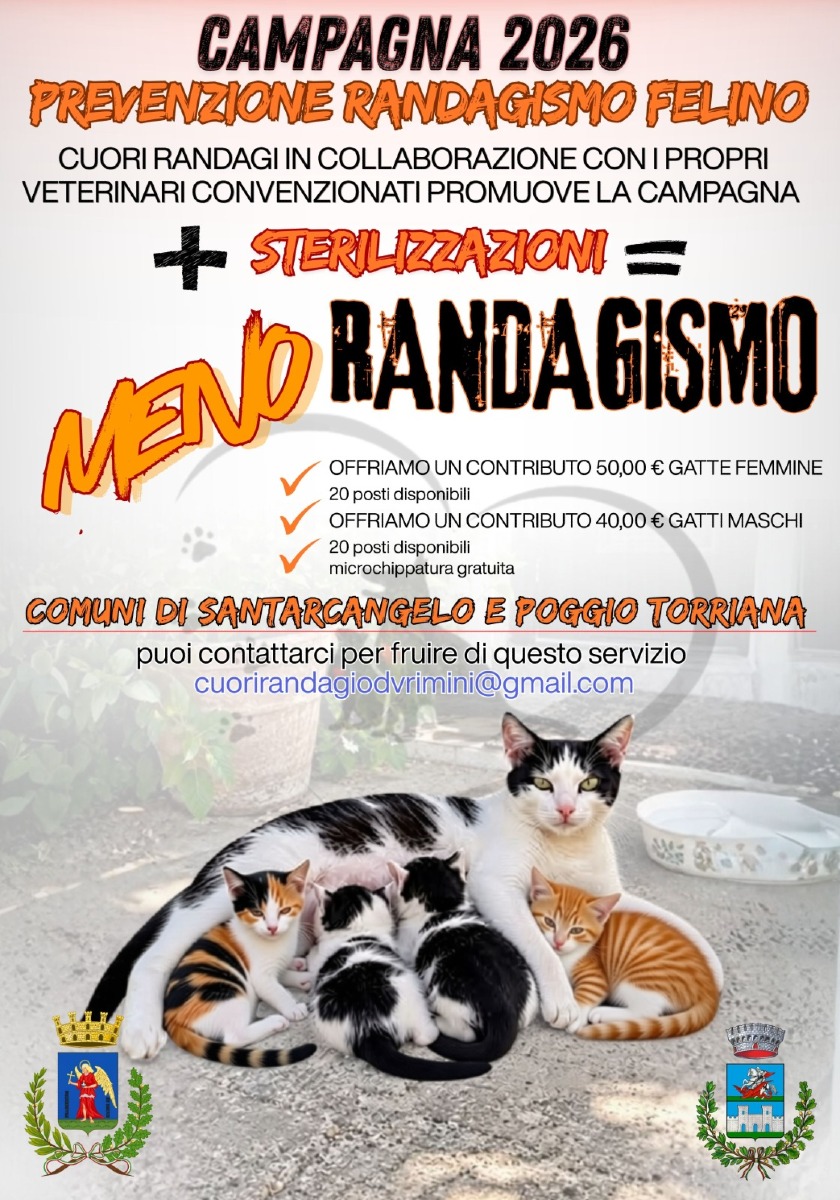 Valmarecchia, una campagna per promuovere sterilizzazione gatti: la ...
