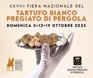 Fiera nazionale del tartufo bianco pregiato di Pergola 2025