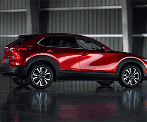 Concessionaria Ricci 2