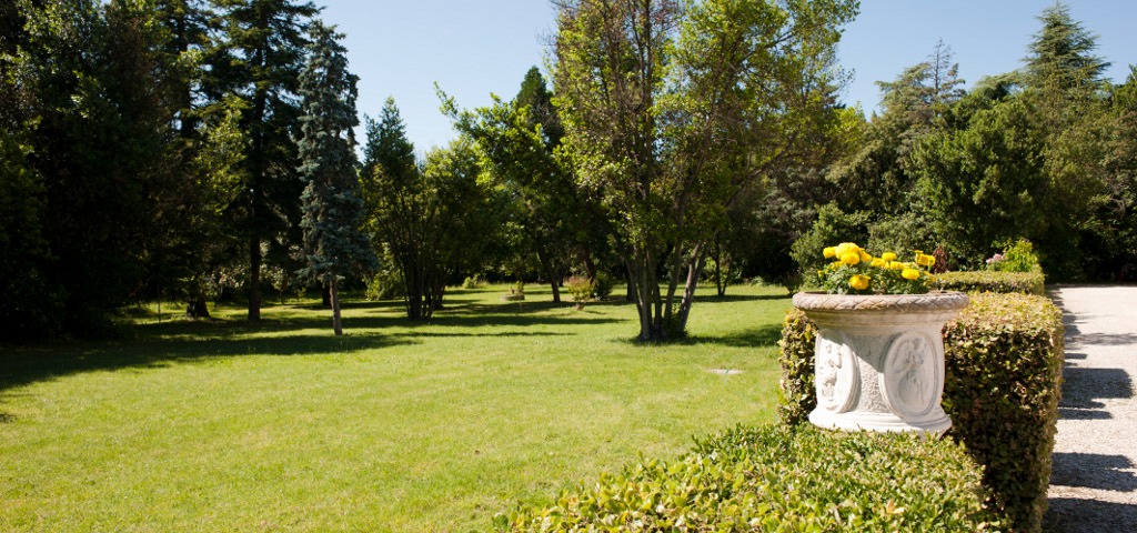 Anteprima 2