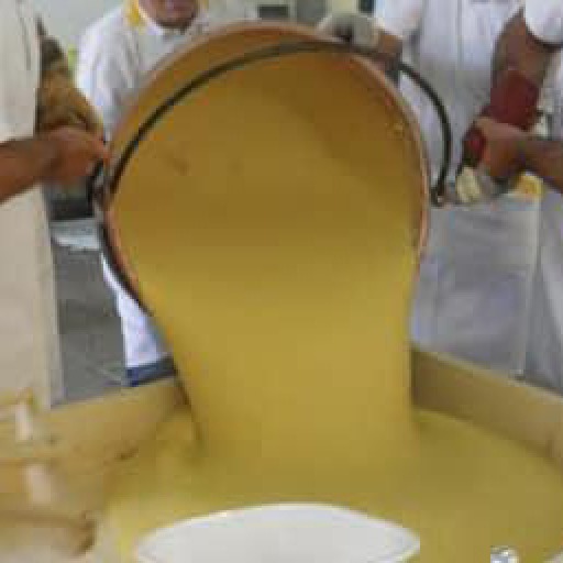 Sagra della Polenta e dei Frutti del Sottobosco 2025