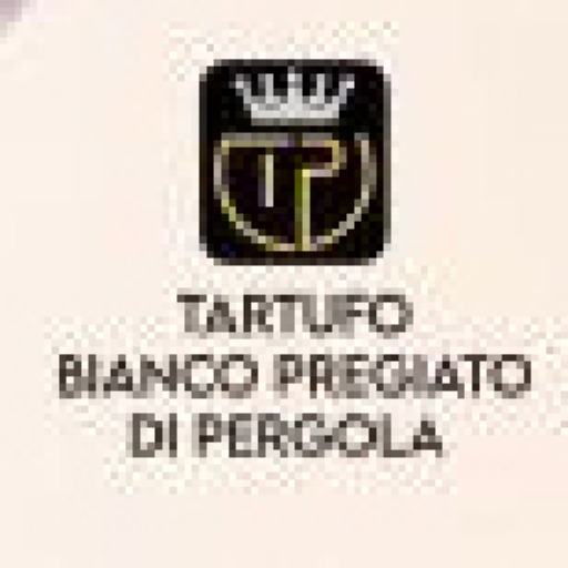 Fiera nazionale del tartufo bianco pregiato di Pergola 2025