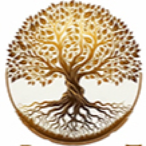 Onoranze Funebri Terra Cielo Città di Rimini Srl Unipersonal